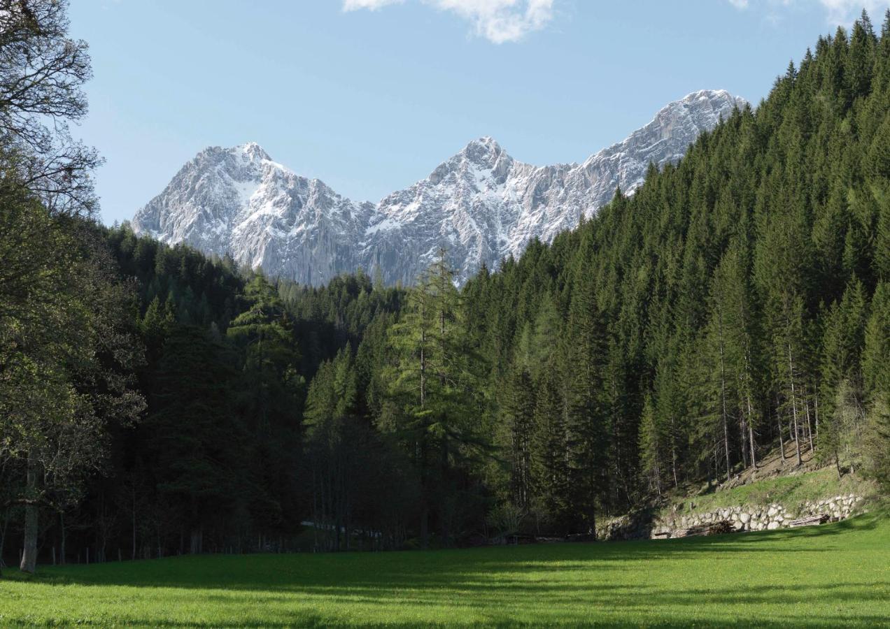 Alpenrose Boutique Chalet Gretl Ramsau am Dachstein Bagian luar foto