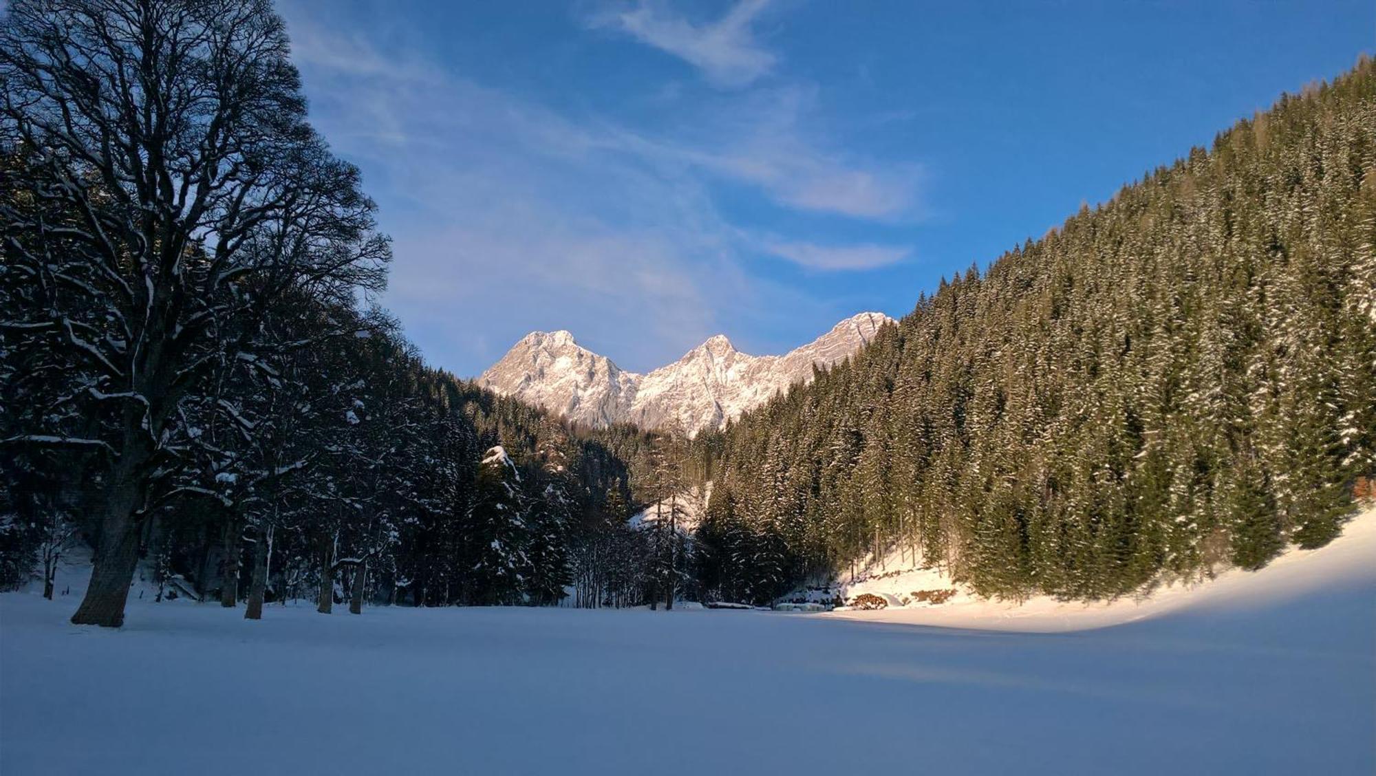 Alpenrose Boutique Chalet Gretl Ramsau am Dachstein Bagian luar foto