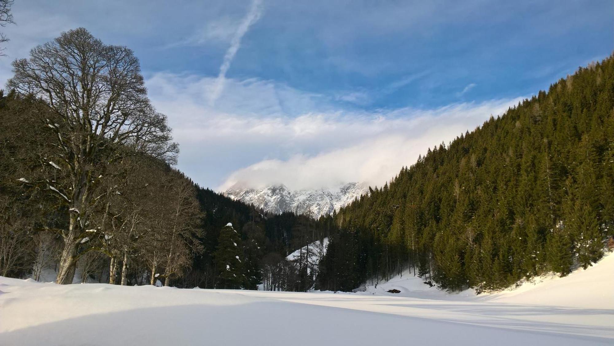 Alpenrose Boutique Chalet Gretl Ramsau am Dachstein Bagian luar foto