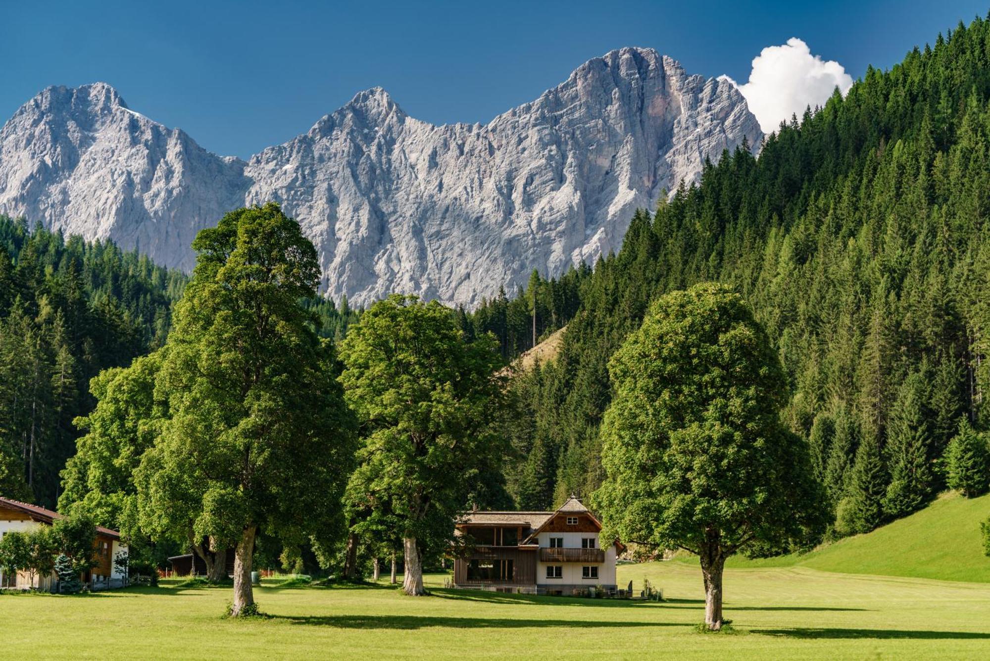 Alpenrose Boutique Chalet Gretl Ramsau am Dachstein Bagian luar foto
